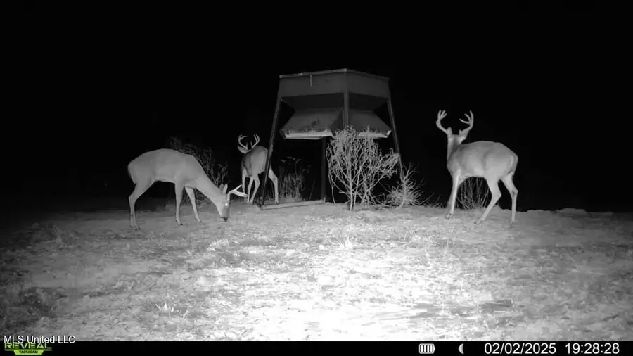 3 Cemetery Road, Harrisonburg, LA 71340 - Image #2