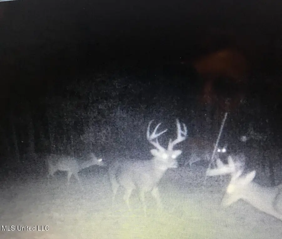 #3