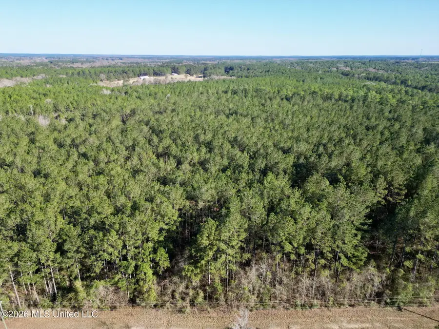 Gobbler Head Road, Poplarville, MS 39470 - #2