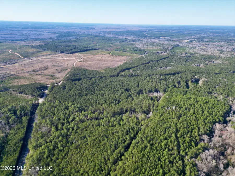 Gobbler Head Road, Poplarville, MS 39470 - #3