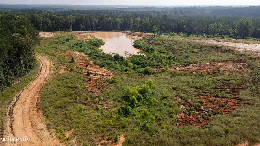 Wire Road, Pelahatchie, MS 39145 - Image #2