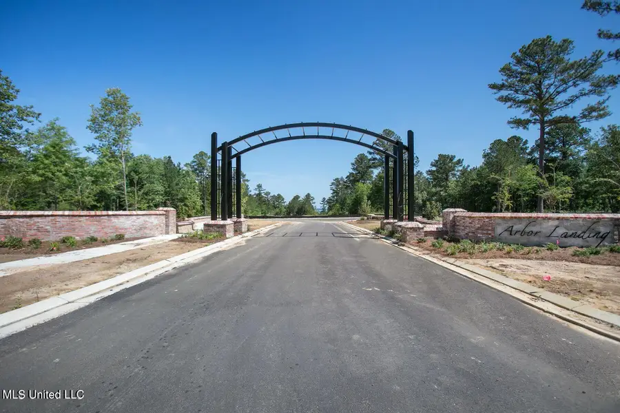 189 Crepe Myrtle Drive, Brandon, MS 39047 - #2