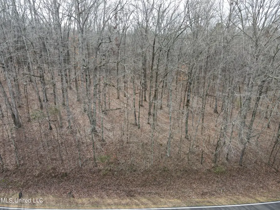 Woolsey Road, Olive Branch, MS 38654 - #3