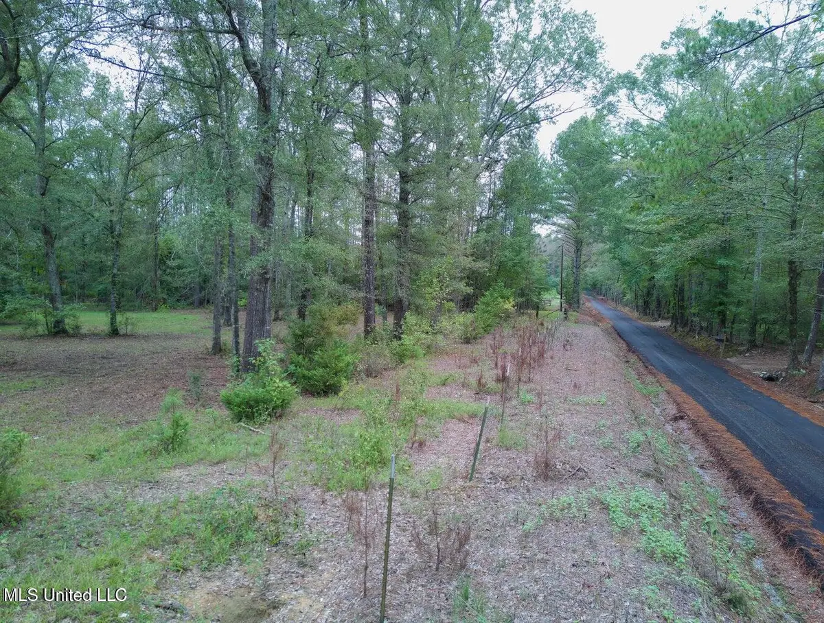 Taylor Way, Pisgah, MS 39047 - Image #1