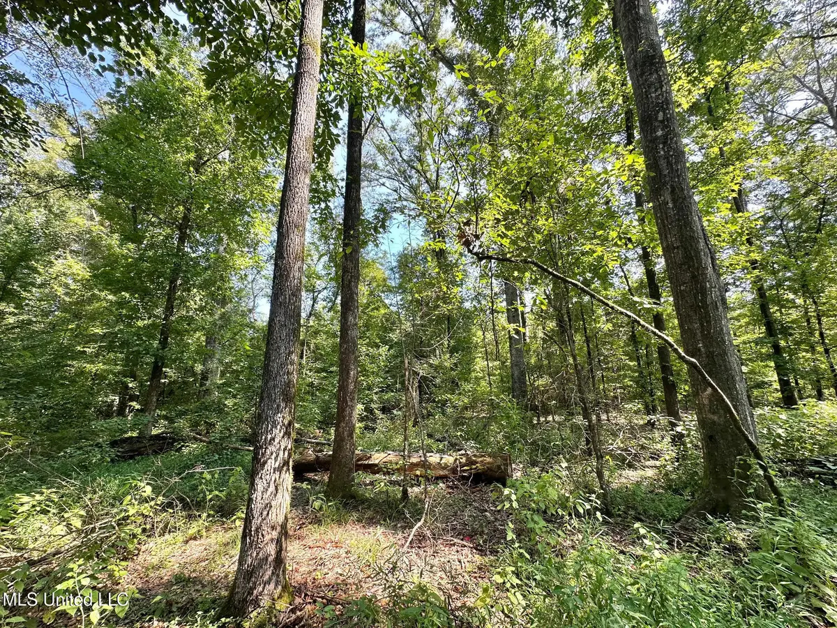 3 Prentiss Crump Road, Terry, MS 39170 - Image #1