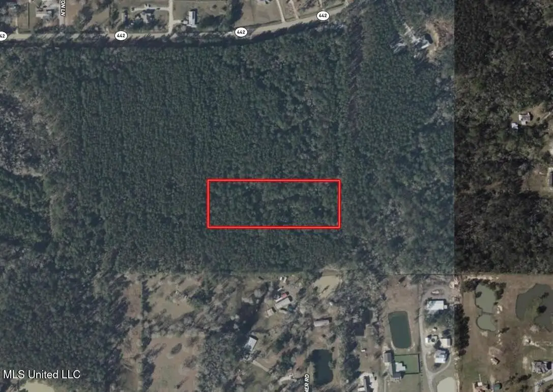 32505 Chapel Pine Drive, Albany, LA 70711 - Image #1