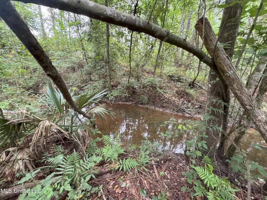 32505 Chapel Pine Drive, Albany, LA 70711 - Image #2