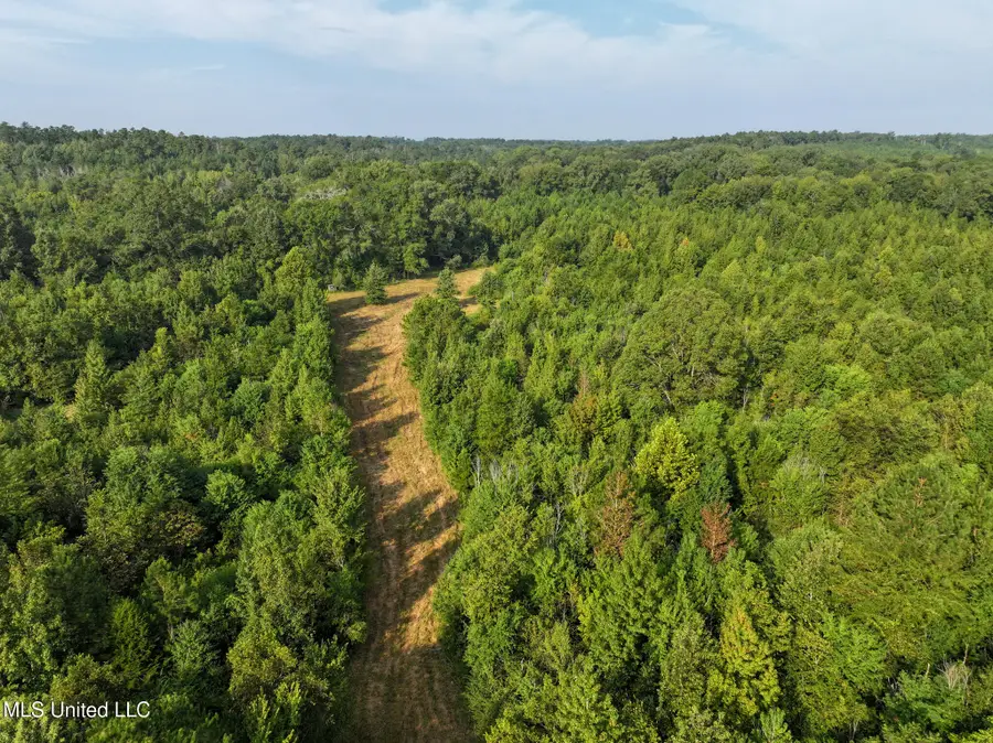 Bethesda Road, Crystal Springs, MS 39059 - Image #2