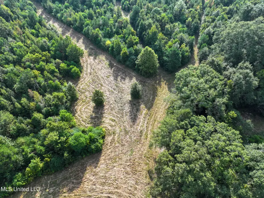 Bethesda Road, Crystal Springs, MS 39059 - Image #3