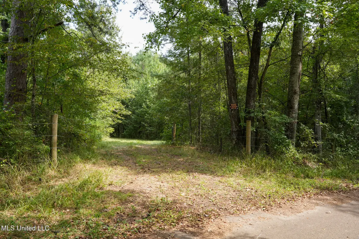 Bethesda Road, Crystal Springs, MS 39059 - Image #1