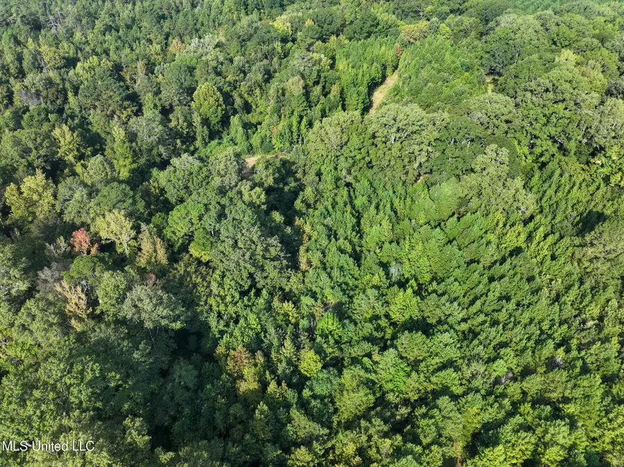 Bethesda Road, Crystal Springs, MS 39059 - Image #2