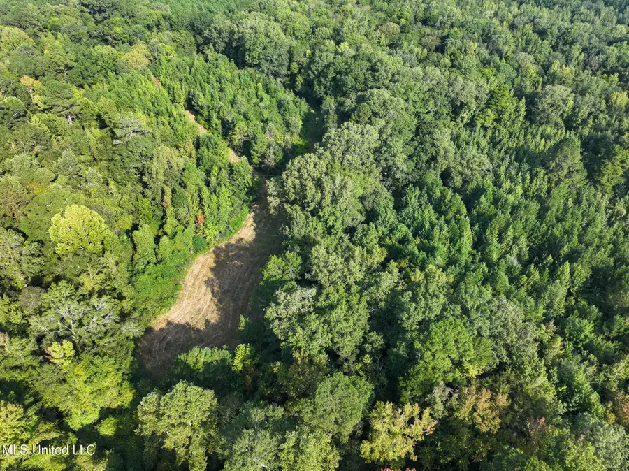 Bethesda Road, Crystal Springs, MS 39059 - Image #3