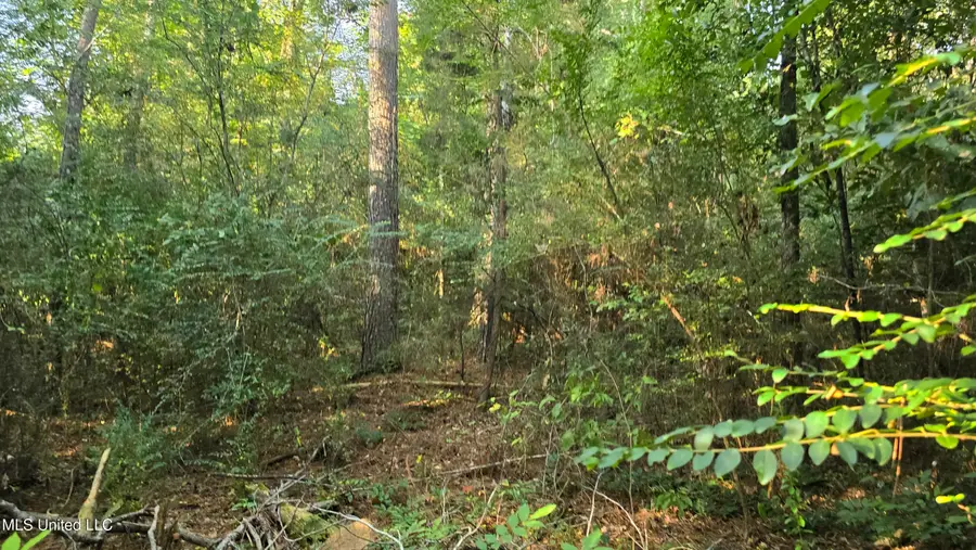 #3