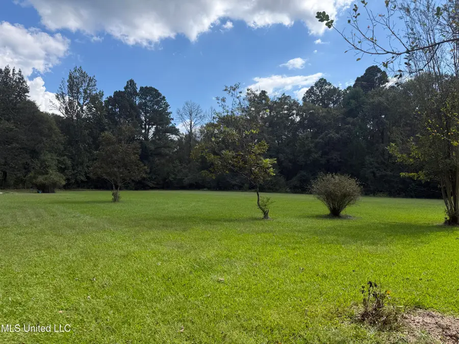 157 Quail Hollow, Canton, MS 39046 - Image #3