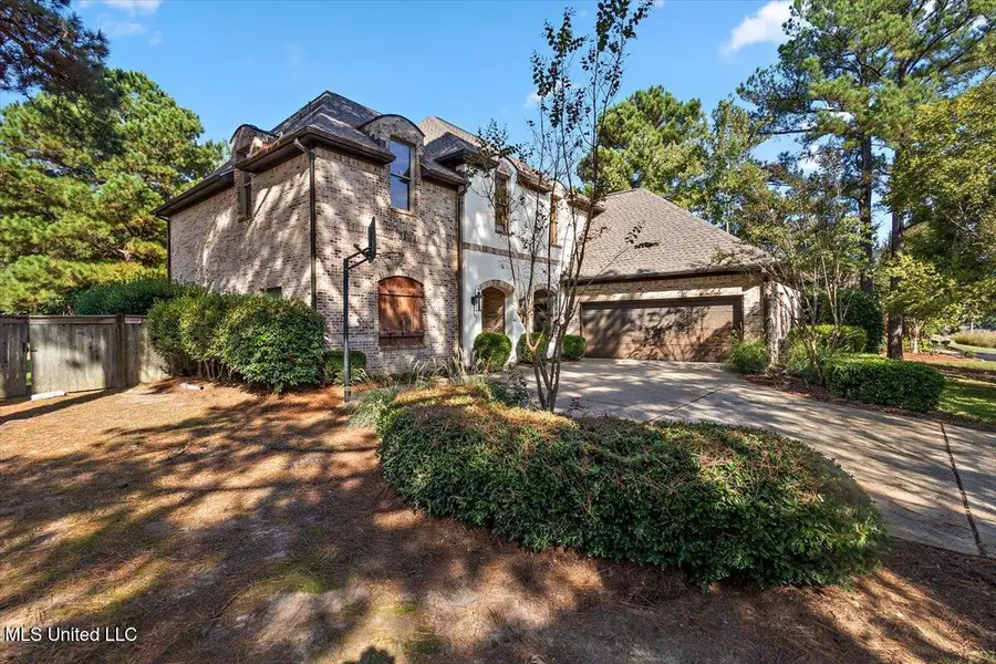 169 Saint Ives Drive, Madison, MS 39110 - Image #3