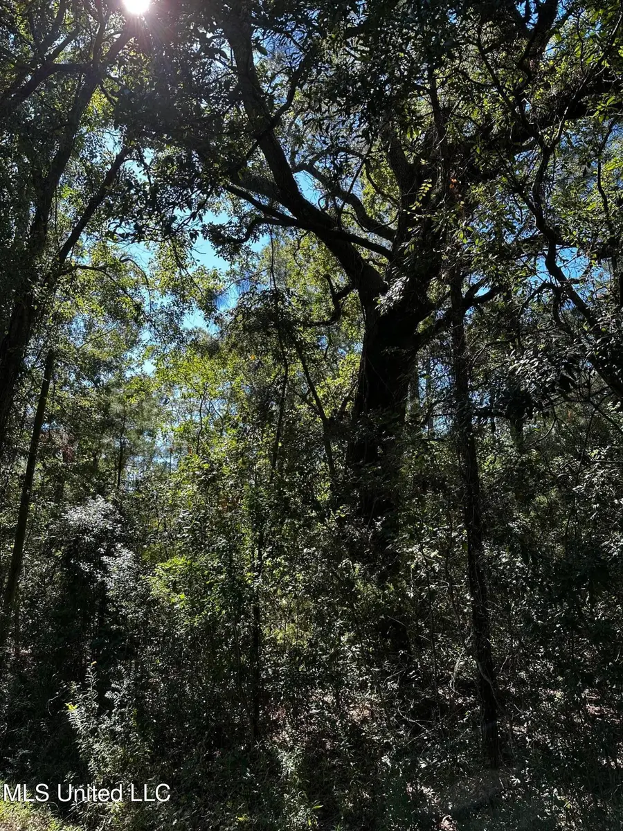 6611 Omaha Street, Biloxi, MS 39532 - Image #3