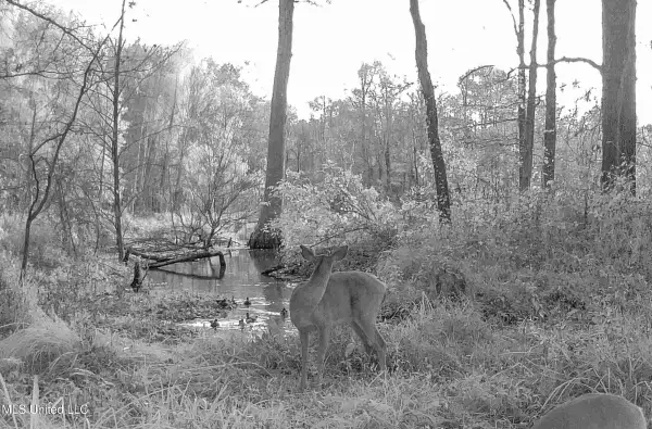 3114 County Road 212, Water Valley, MS 38965