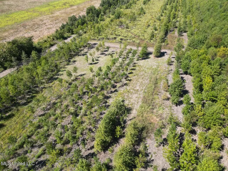 1195 Highway 570, Waterproof, LA 71375 - Image #3