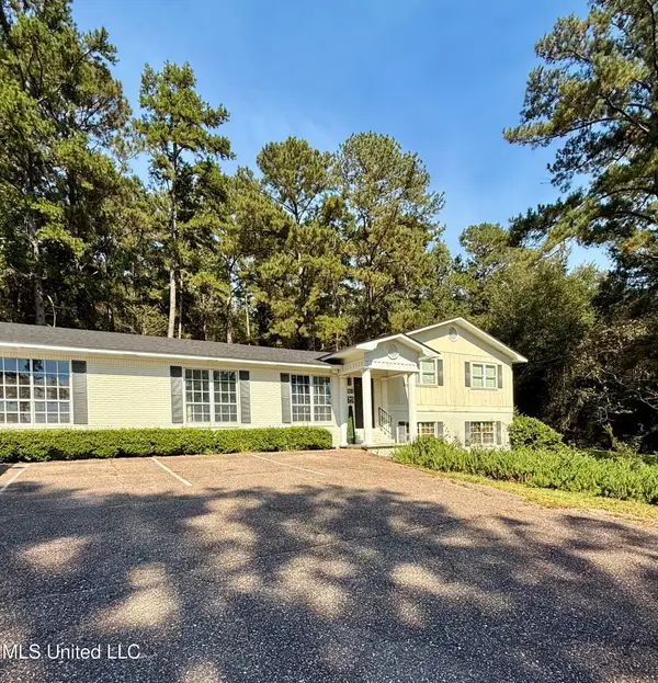 851 County Rd 1519, Louin, MS 39338