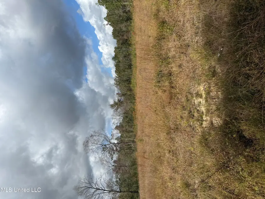 0 Ramie Farm Road, Lucedale, MS 39452 - Image #2