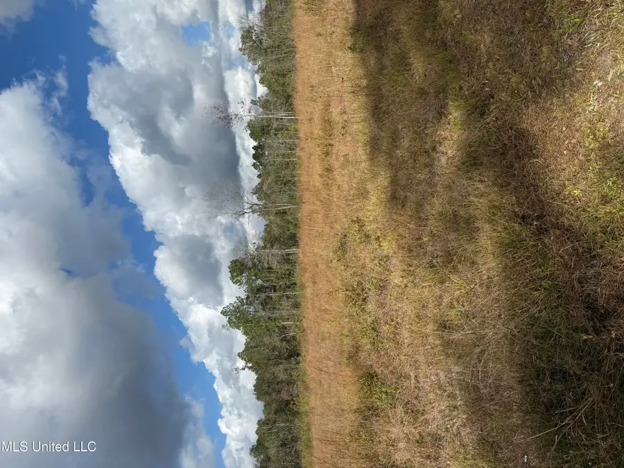 0 Ramie Farm Road, Lucedale, MS 39452 - Image #3