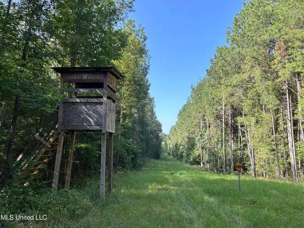Lowenkamp Lane, Hazlehurst, MS 39083
