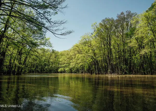 County Rd 176, Sidon, MS 38954