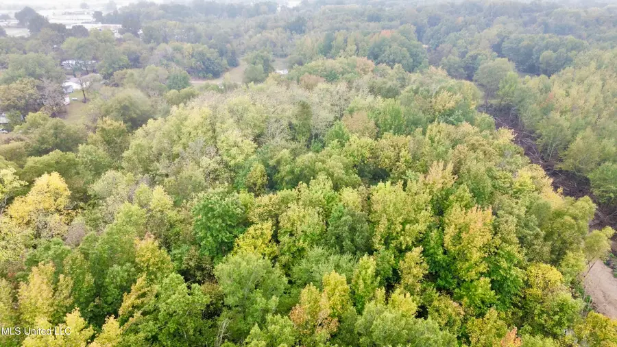 Cotton Street, Marks, MS 38646 - Image #2