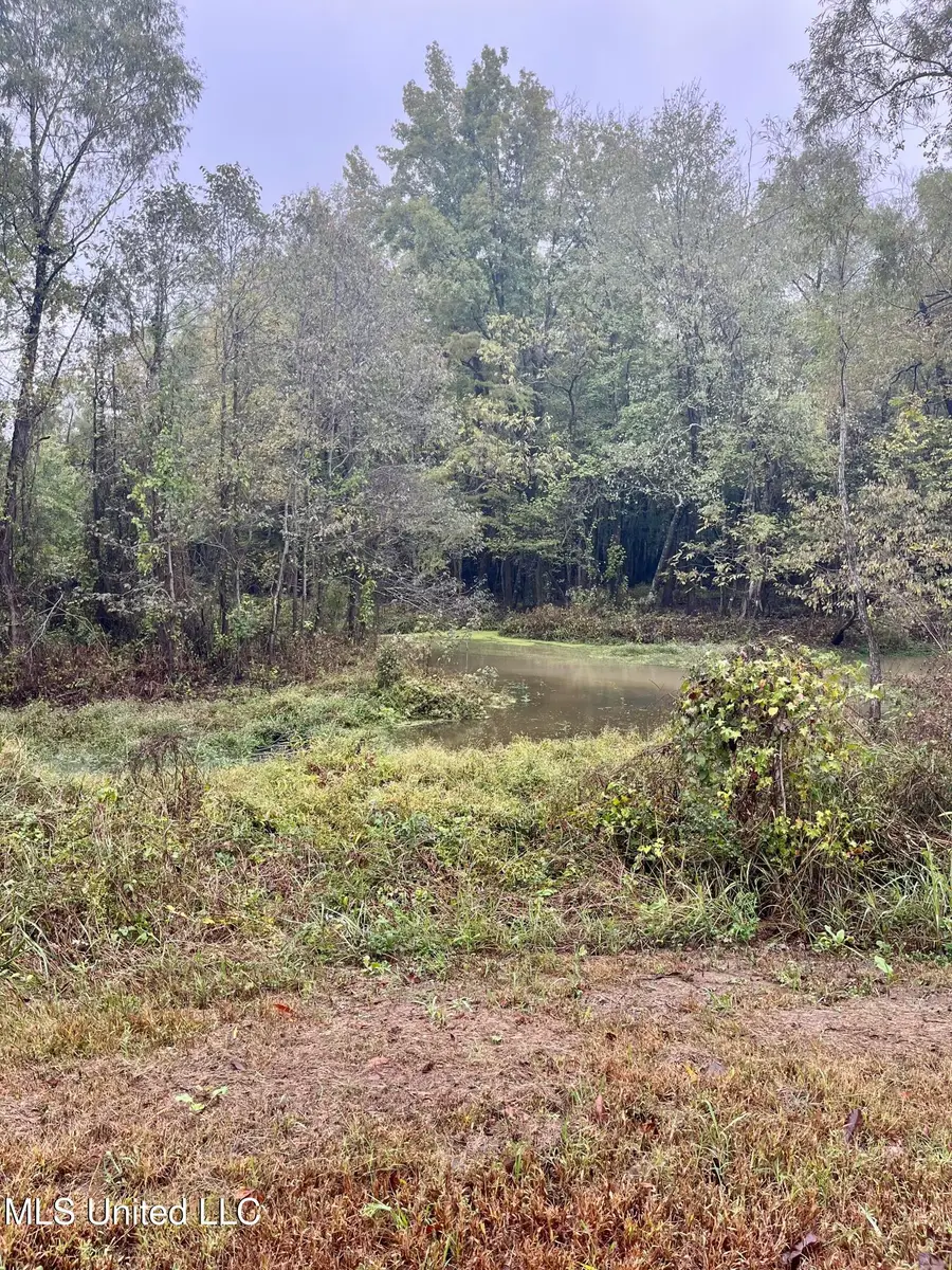 Cotton Street, Marks, MS 38646 - Image #3