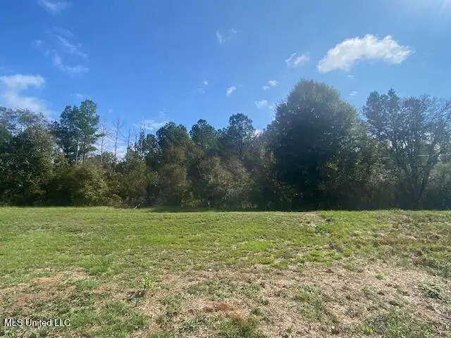 Ms Hwy 13, Polkville, MS 39117 - Image #1