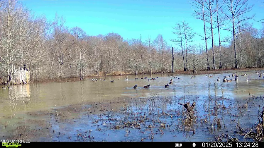 Gun Baoyu Road, Belzoni, MS 39038 - Image #2