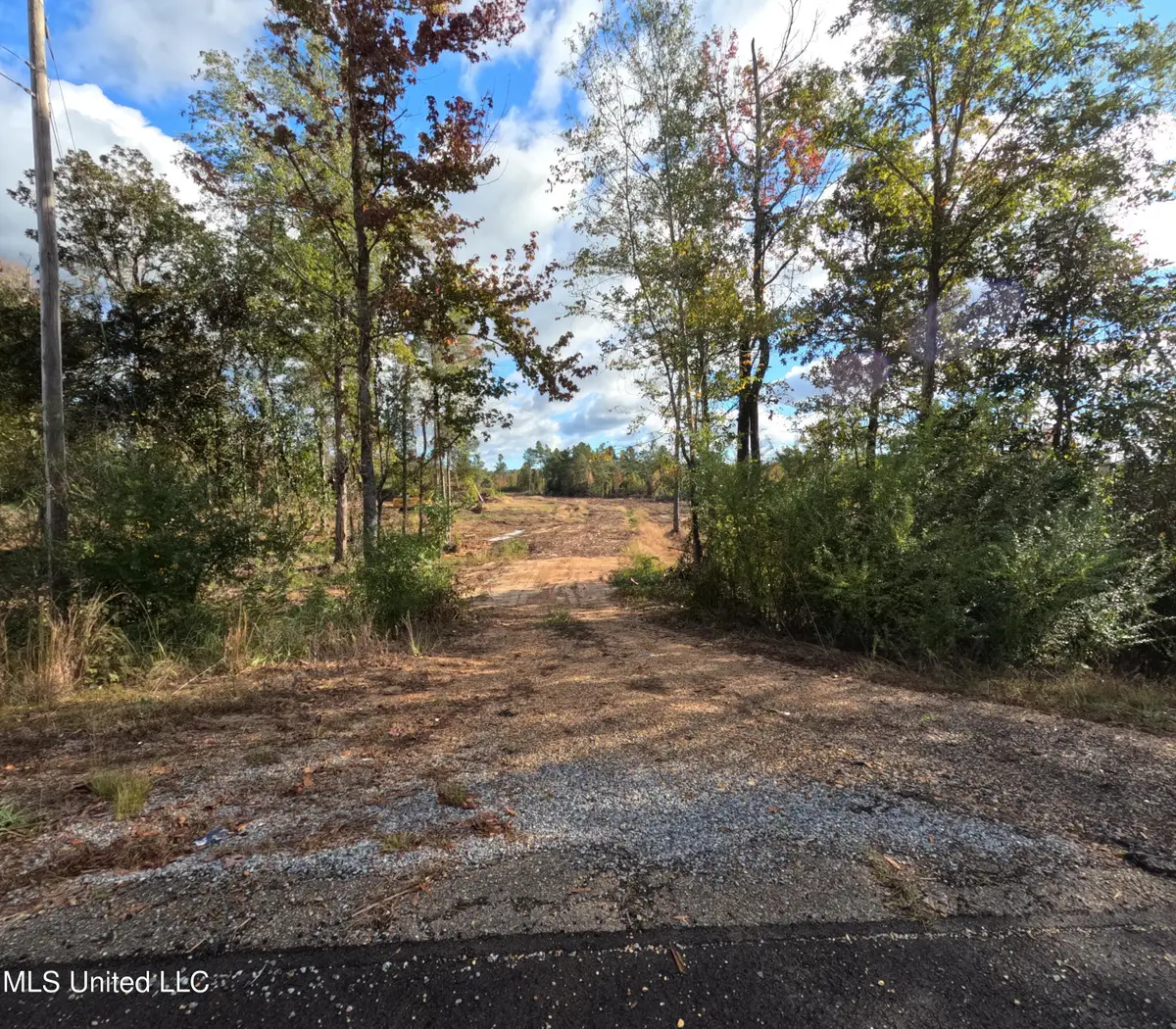 William Warren Road, Collins, MS 39428 - Image #1