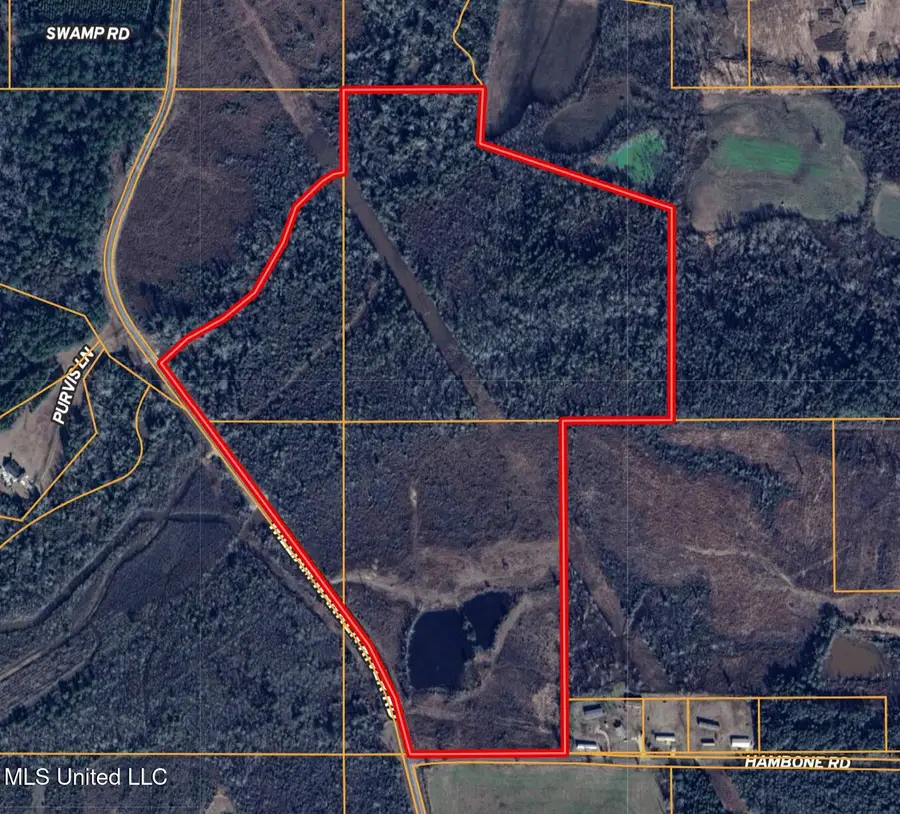 William Warren Road, Collins, MS 39428 - Image #2