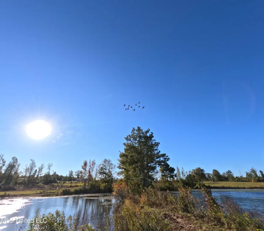 William Warren Road, Collins, MS 39428 - Image #3