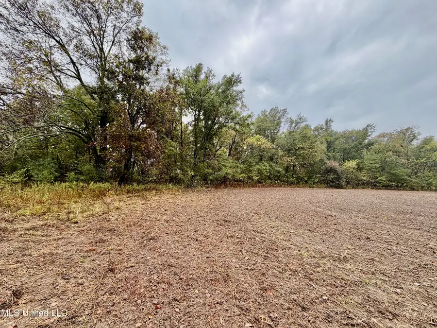 Youngblood Road, Dundee, MS 38626 - Image #2