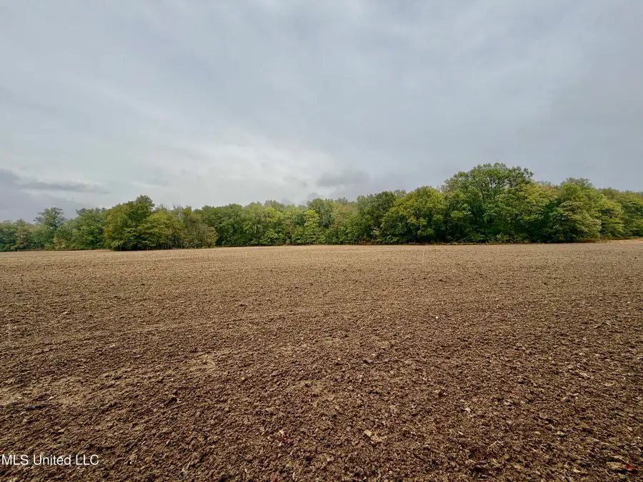Youngblood Road, Dundee, MS 38626 - Image #3