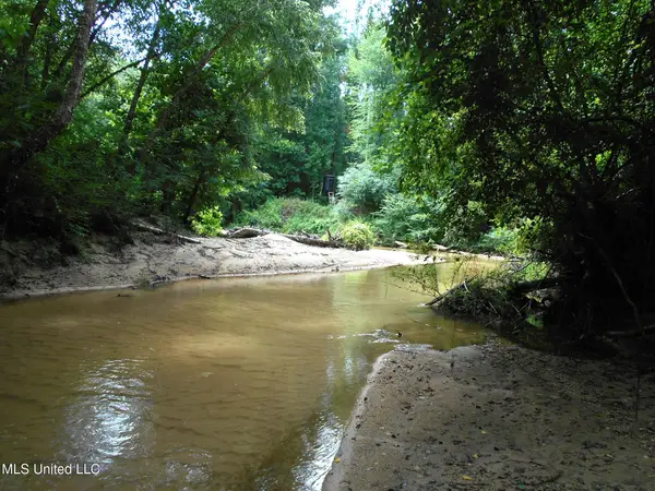 00 Inez Bryant Road, Silver Creek, MS 39663