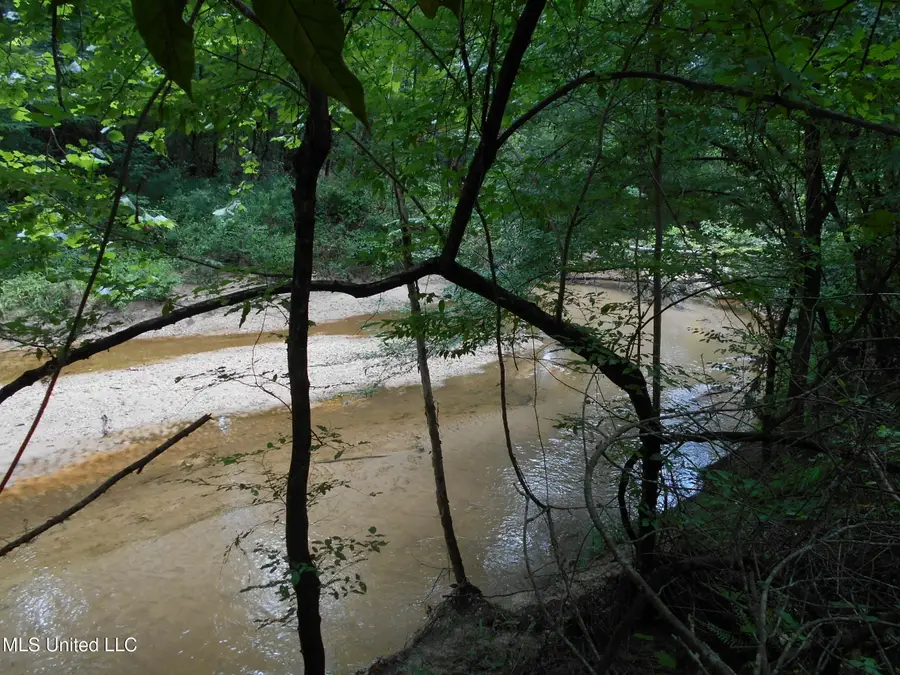 00 Inez Bryant Road, Silver Creek, MS 39663 - Image #2