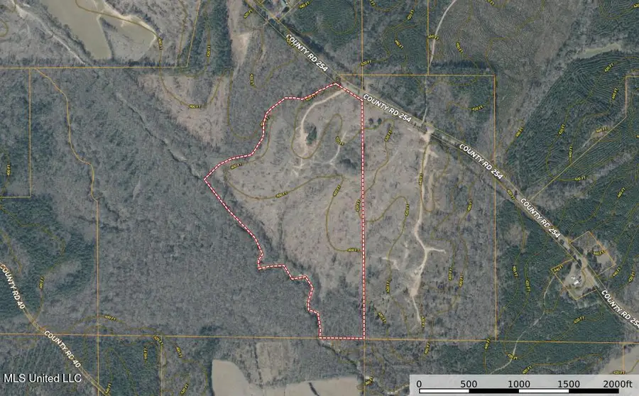 01 Alva Road, Eupora, MS 39744 - Image #2