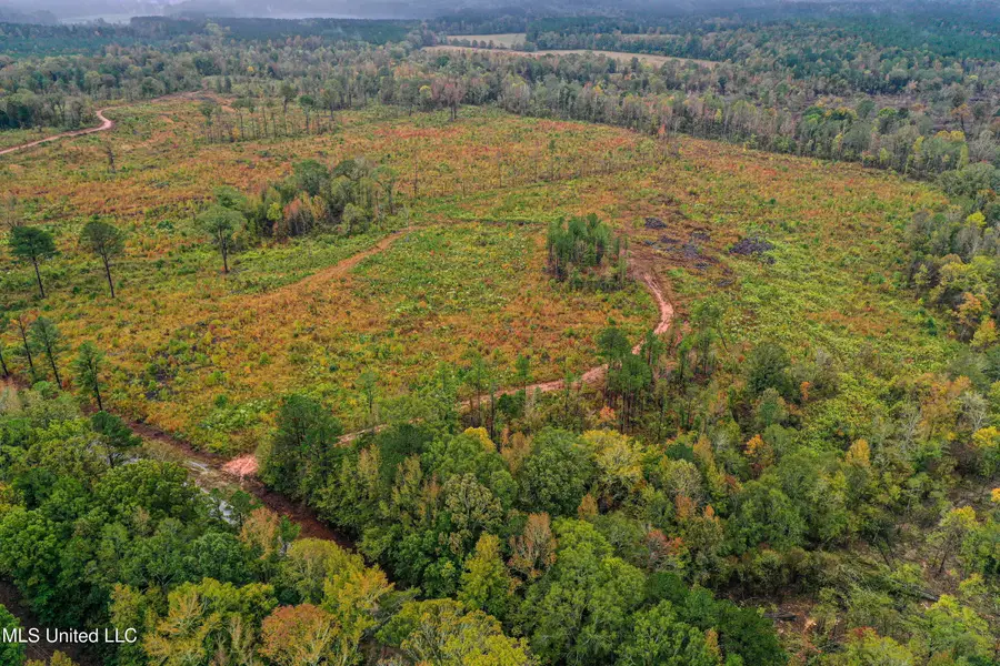 01 Alva Road, Eupora, MS 39744 - Image #3