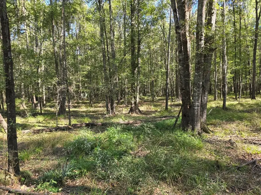 1012 Dogtown Road, Hazlehurst, MS 39083 - Image #2