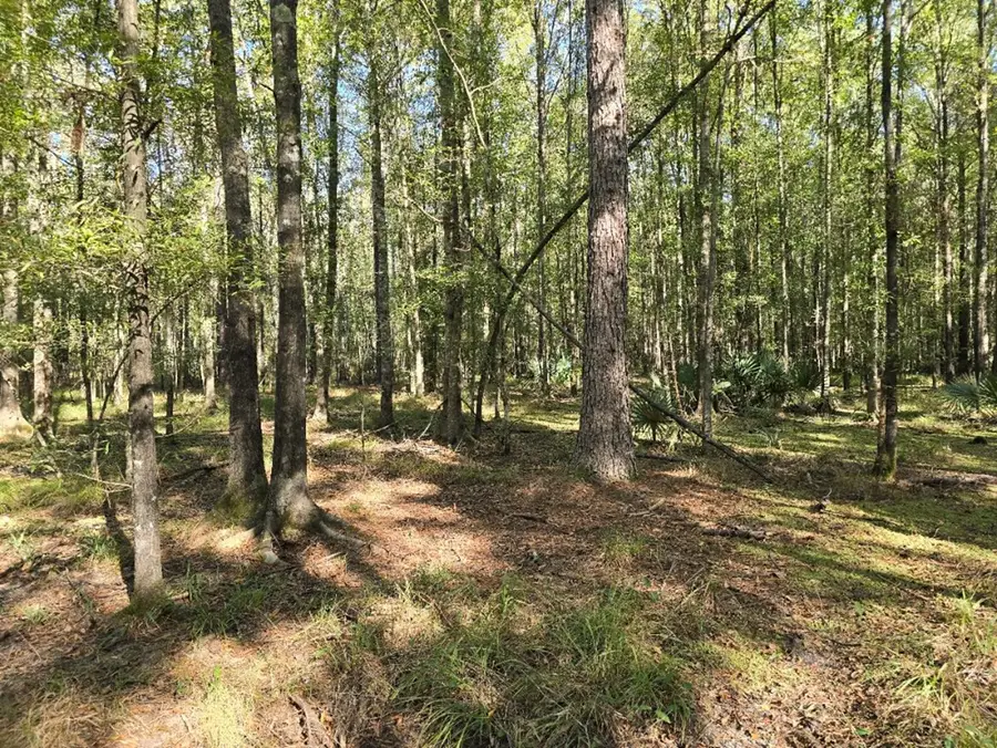 1012 Dogtown Road, Hazlehurst, MS 39083 - Image #3