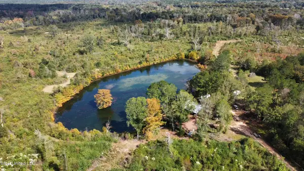 00 County Road 472, Pinola, MS 39149