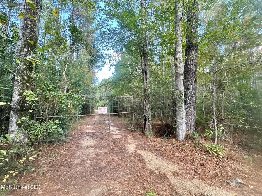00 County Road 472, Pinola, MS 39149 - #2