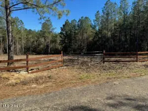 James Ratcliff Rd, Tylertown, MS 39667 - Image #2