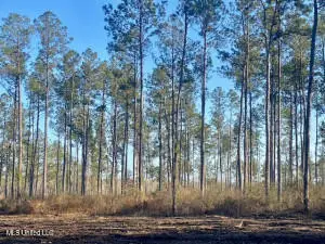 James Ratcliff Rd, Tylertown, MS 39667 - Image #3