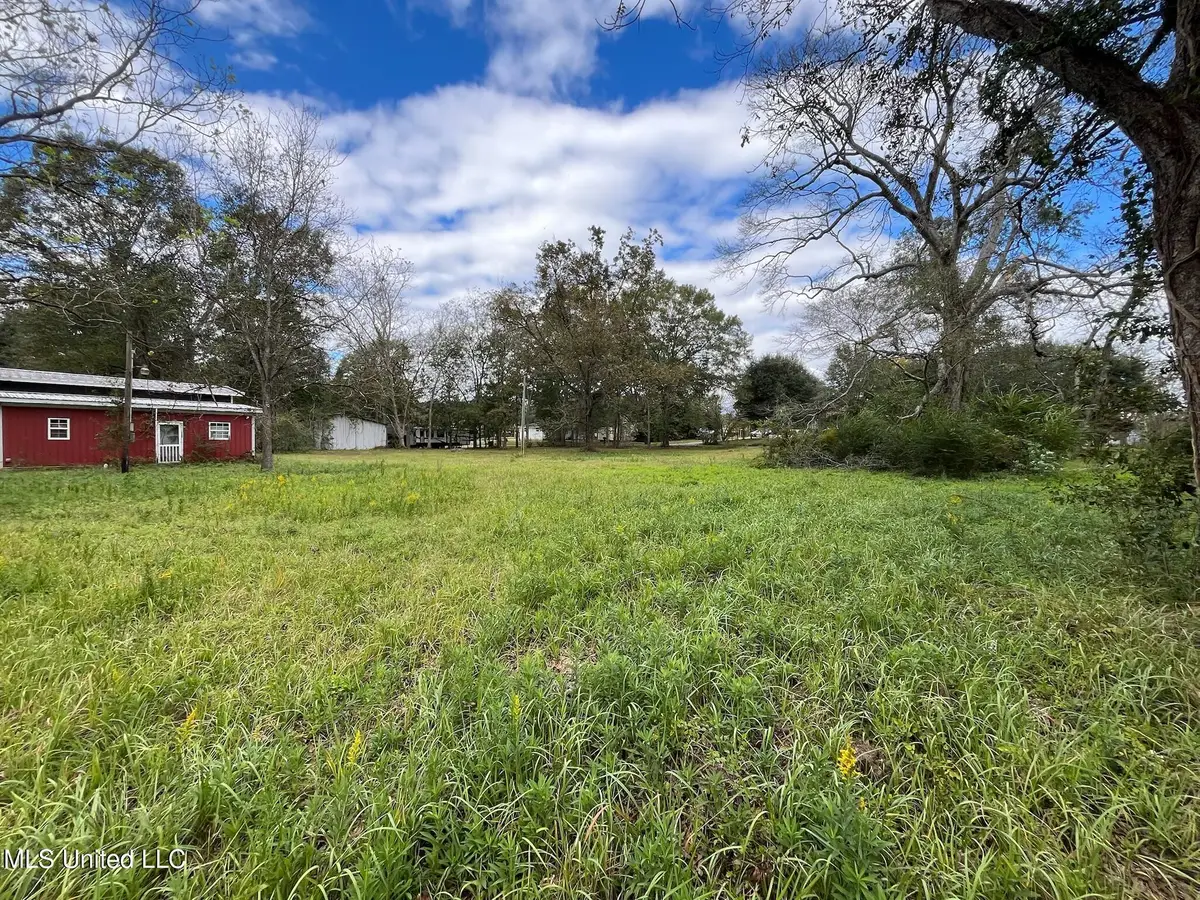 0 Stanton Street, Richton, MS 39476 - Image #1