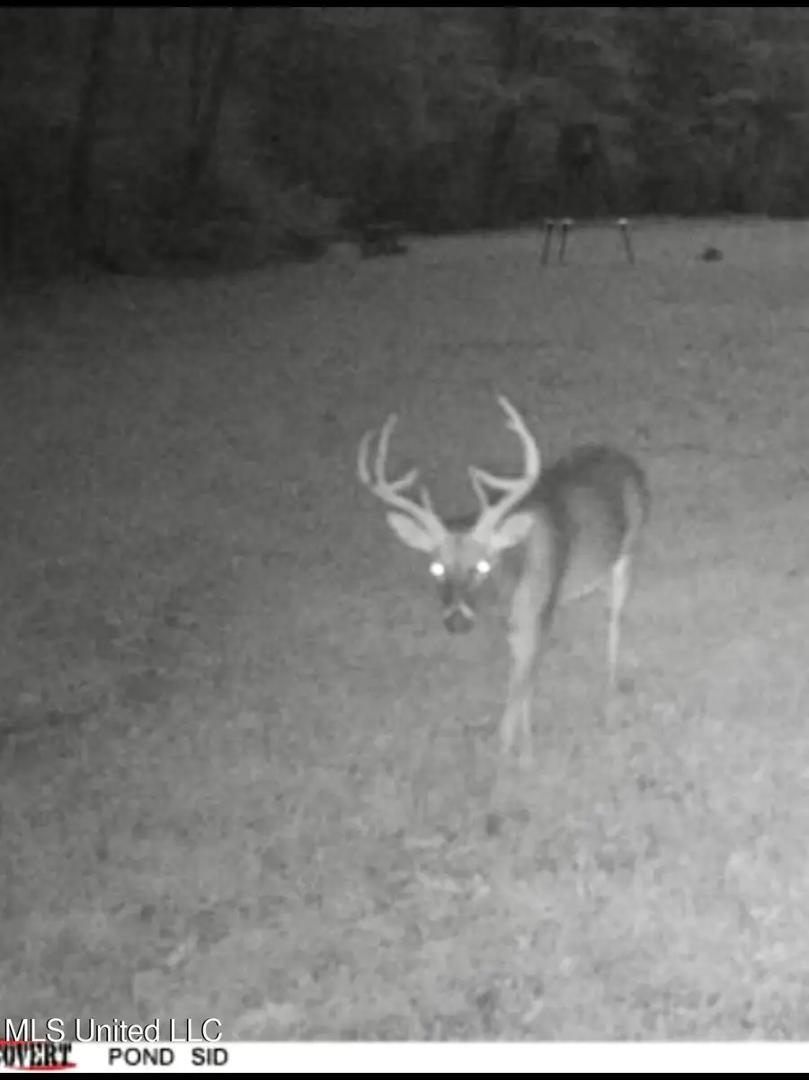 19757 Highway 17, Lexington, MS 39095 - Image #3