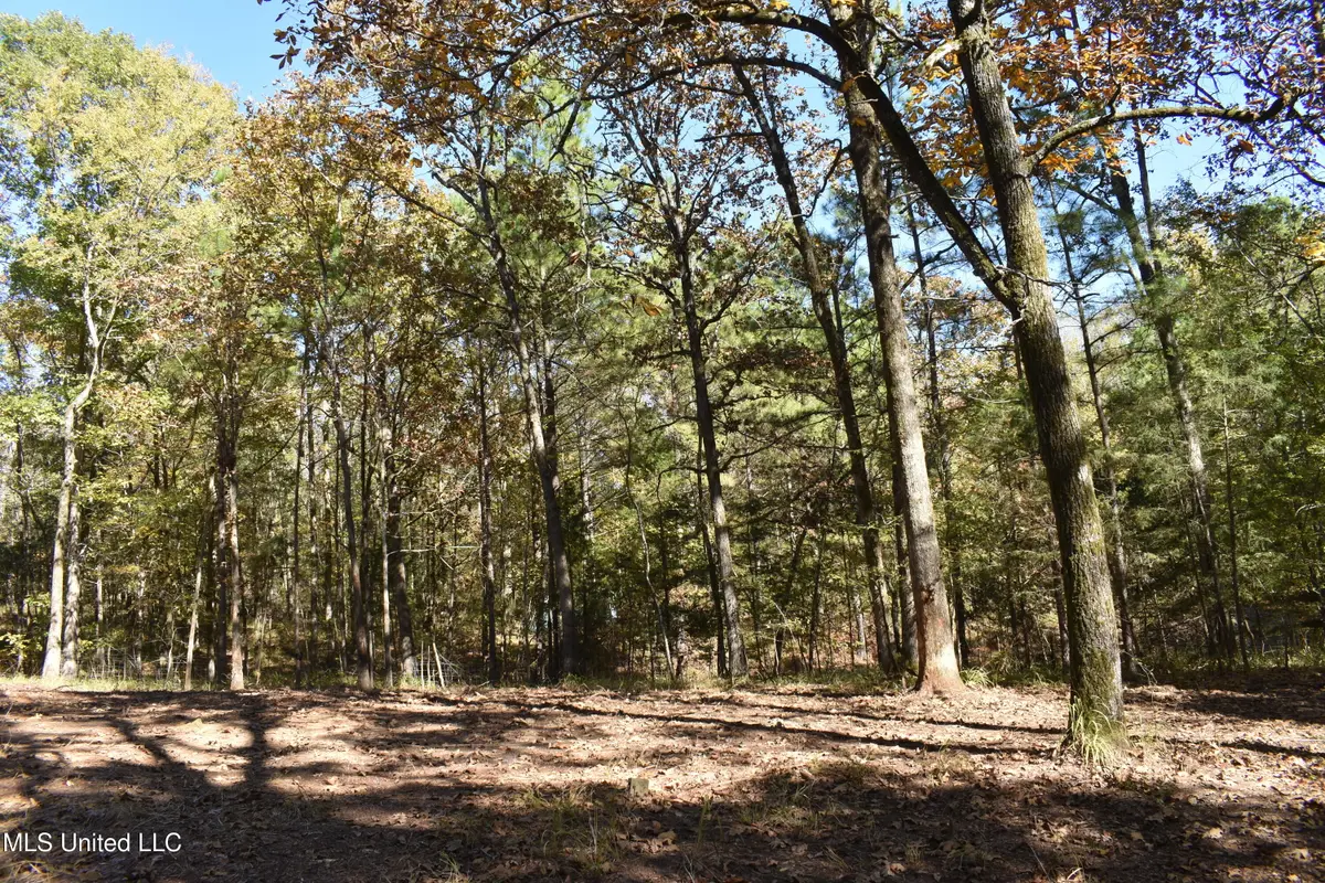 6400 Tate Marshall Road, Coldwater, MS 38618 - Image #1