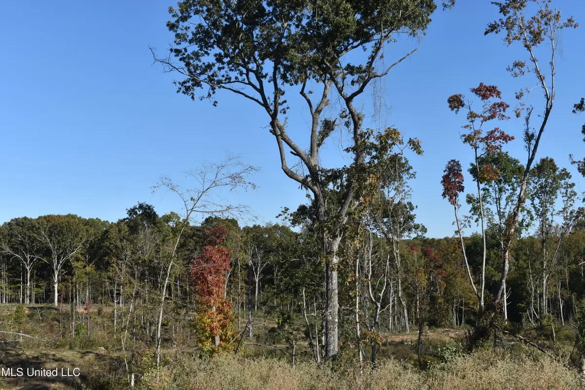 7 Marianna Road, Holly Springs, MS 38635 - Image #1